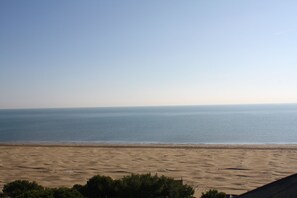 Uma praia com vista clara para o oceano e uma faixa de areia.