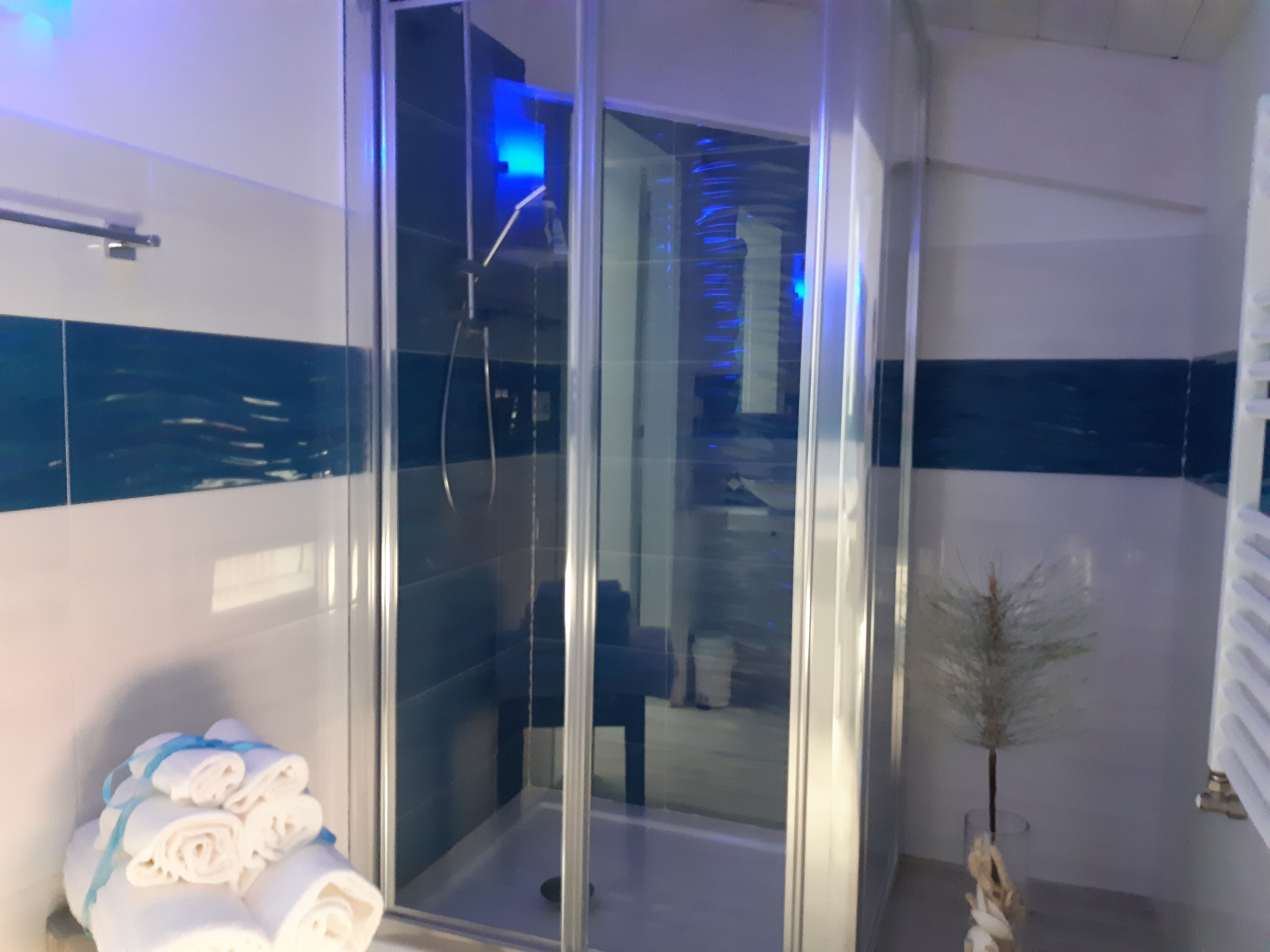 Comfort Double Room | Bathroom shower