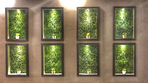 Eight rectangular wall-mounted mirrors with a green leafy background and a small potted plant in each. - Set Ozer Hotel (Çanakkale)