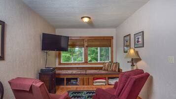 Apartment, 1 Queen Bed, Fireplace | Living room | TV, fireplace, DVD player