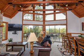 Casa, varias camas, hidromasaje, vista a la montaña | Sala de estar | Televisión y chimenea