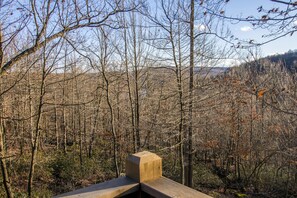 Maison, plusieurs lits, bain à remous | Vue de la chambre