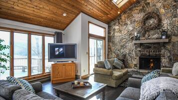 TV, lò sưởi, đầu đĩa DVD