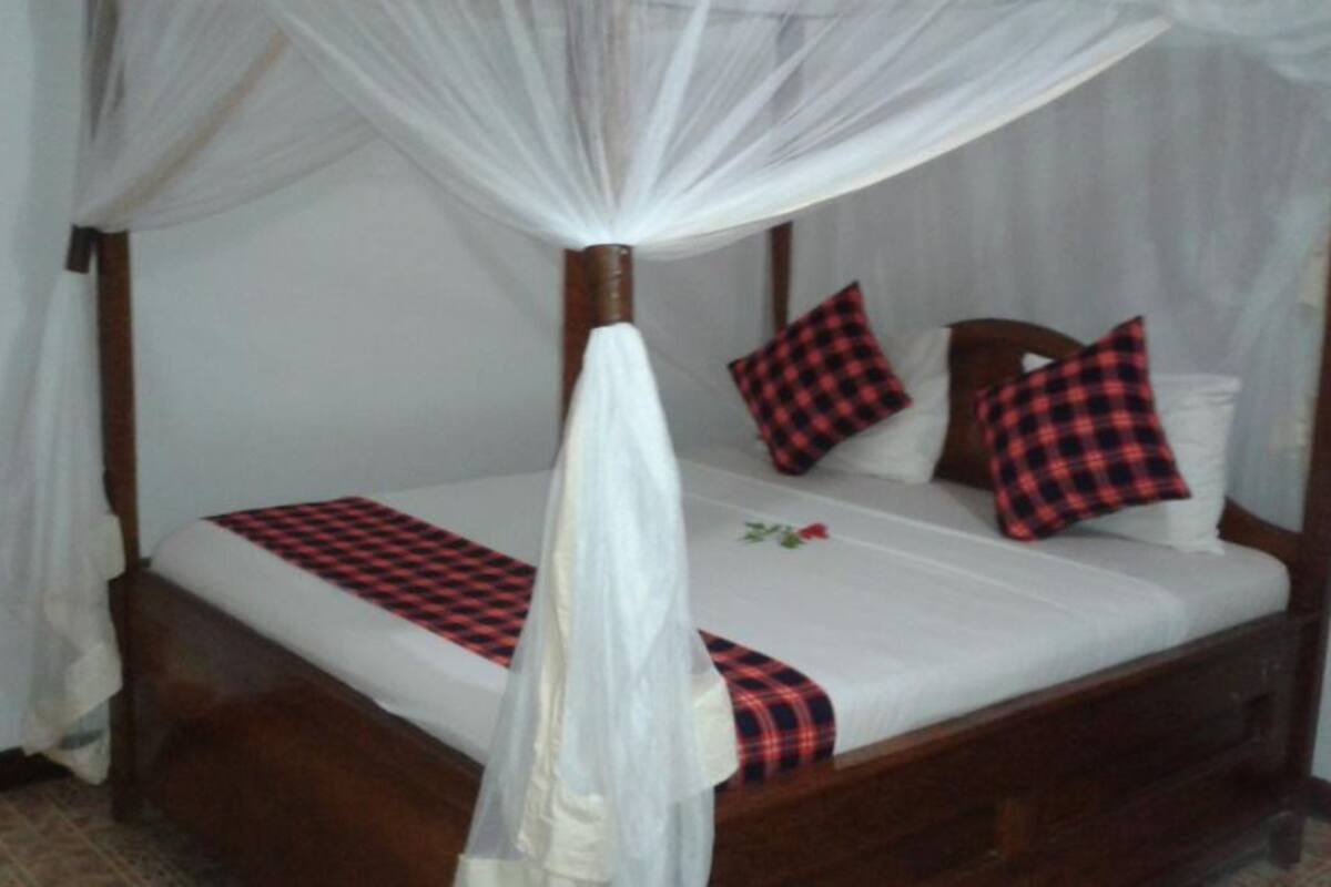 Habitación estándar doble | Sistema de insonorización, tabla de planchar con plancha, wifi gratis