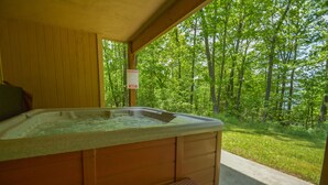 Unclassified image, 3 of 20, button - A Wonderful Place 5 Bedroom House (Swanton)