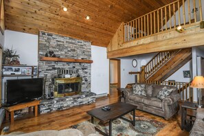 Televisión, chimenea, reproductor de DVD