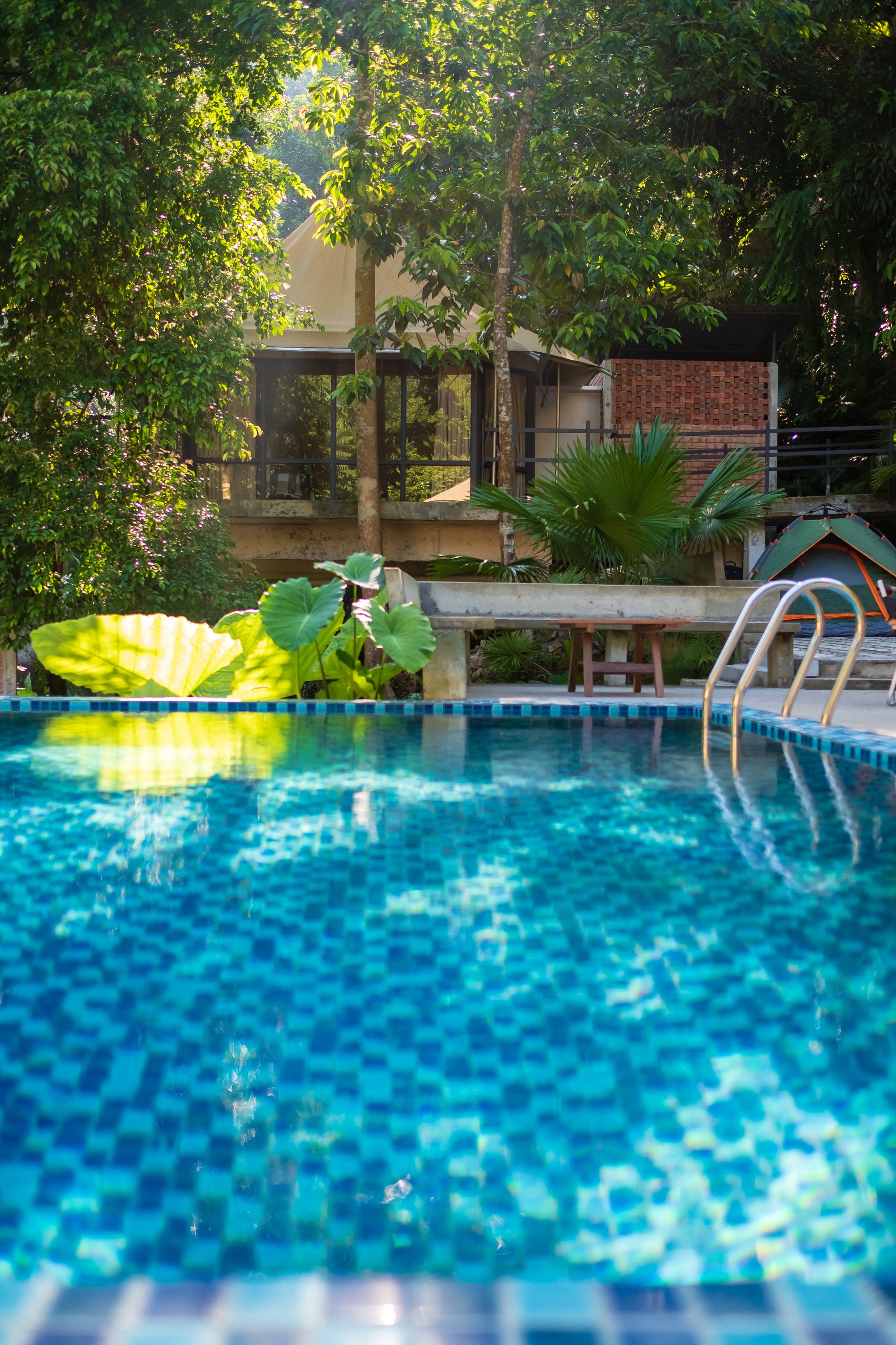 A swimming pool with clear blue water, surrounded by lush green trees and a brick wall in the background.