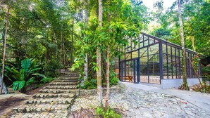A stone staircase leading to a glass-roofed structure surrounded by lush greenery. - Boulder Valley (George Town)
