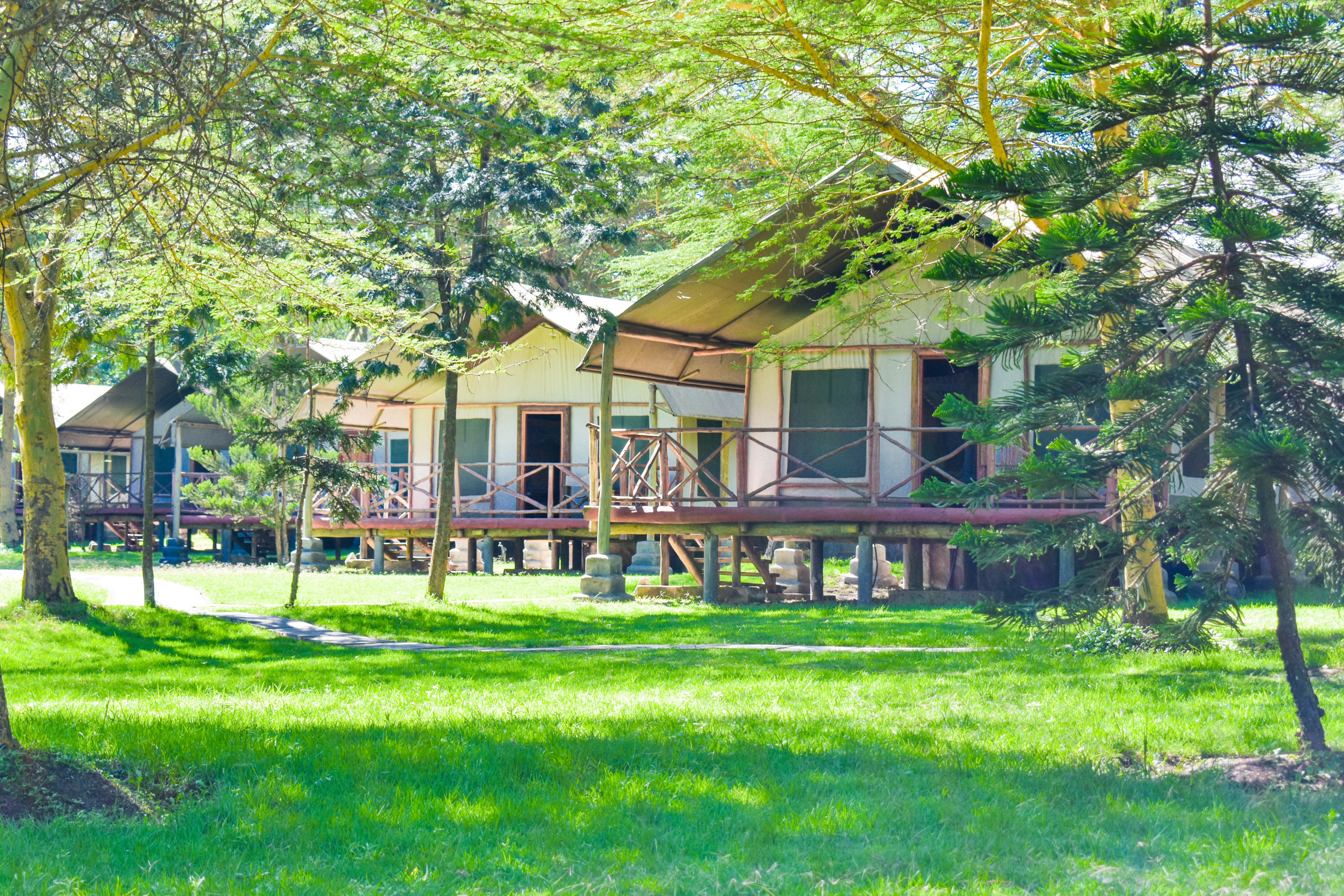 A row of cabins with a wooden deck, surrounded by trees and grass.