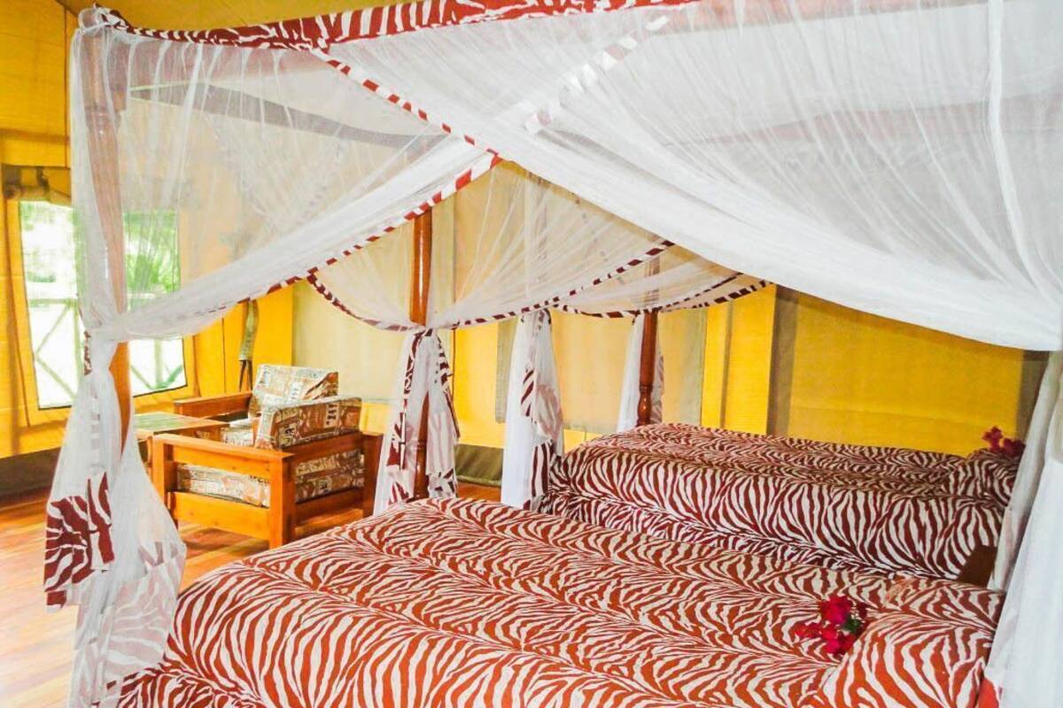 Una habitación con una cama cubierta con ropa de cama de estampado de cebra, una mesita de noche de madera con libros y una ventana con cortinas.