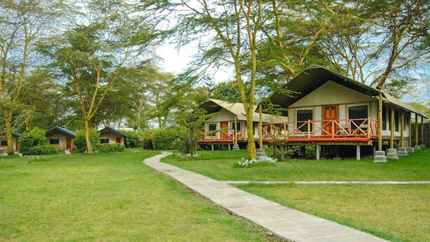 Un hotel de estilo bungalow con un sendero pavimentado, rodeado de exuberante vegetación y árboles.