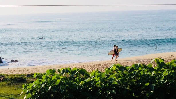 Una playa con una persona llevando una tabla de surf, mar tranquilo y vegetación en primer plano.