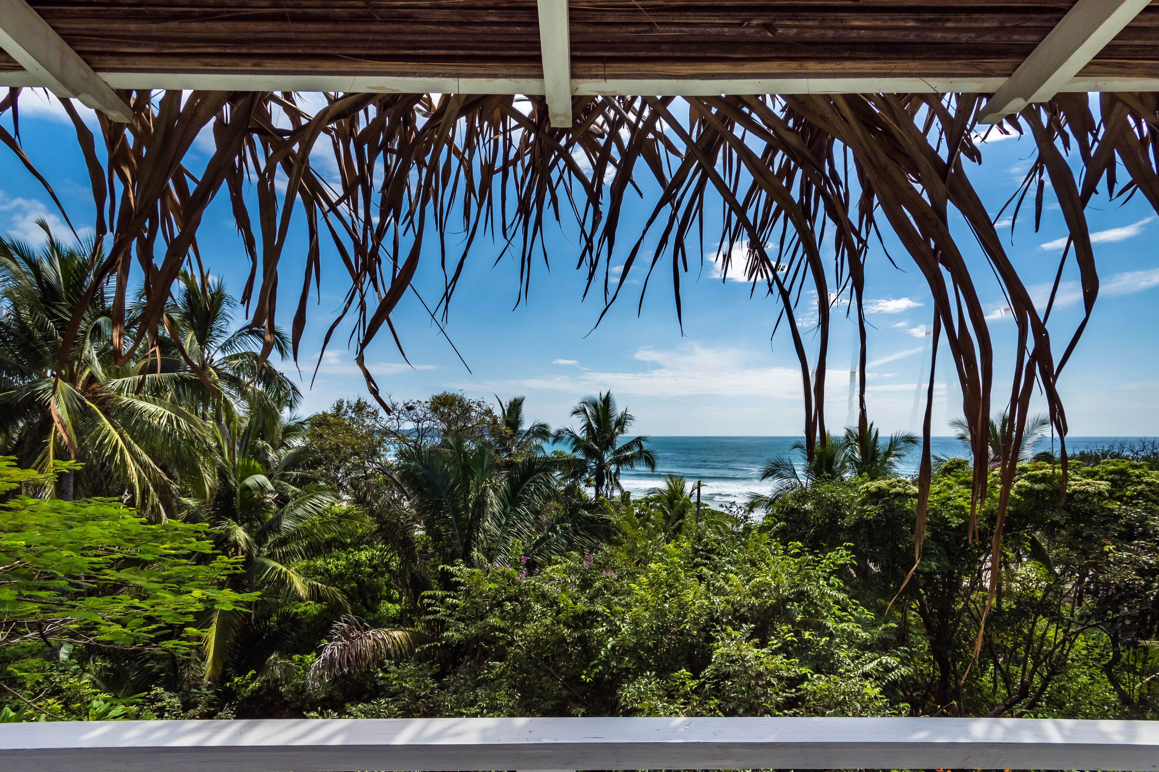 Vue sur la plage/l’océan