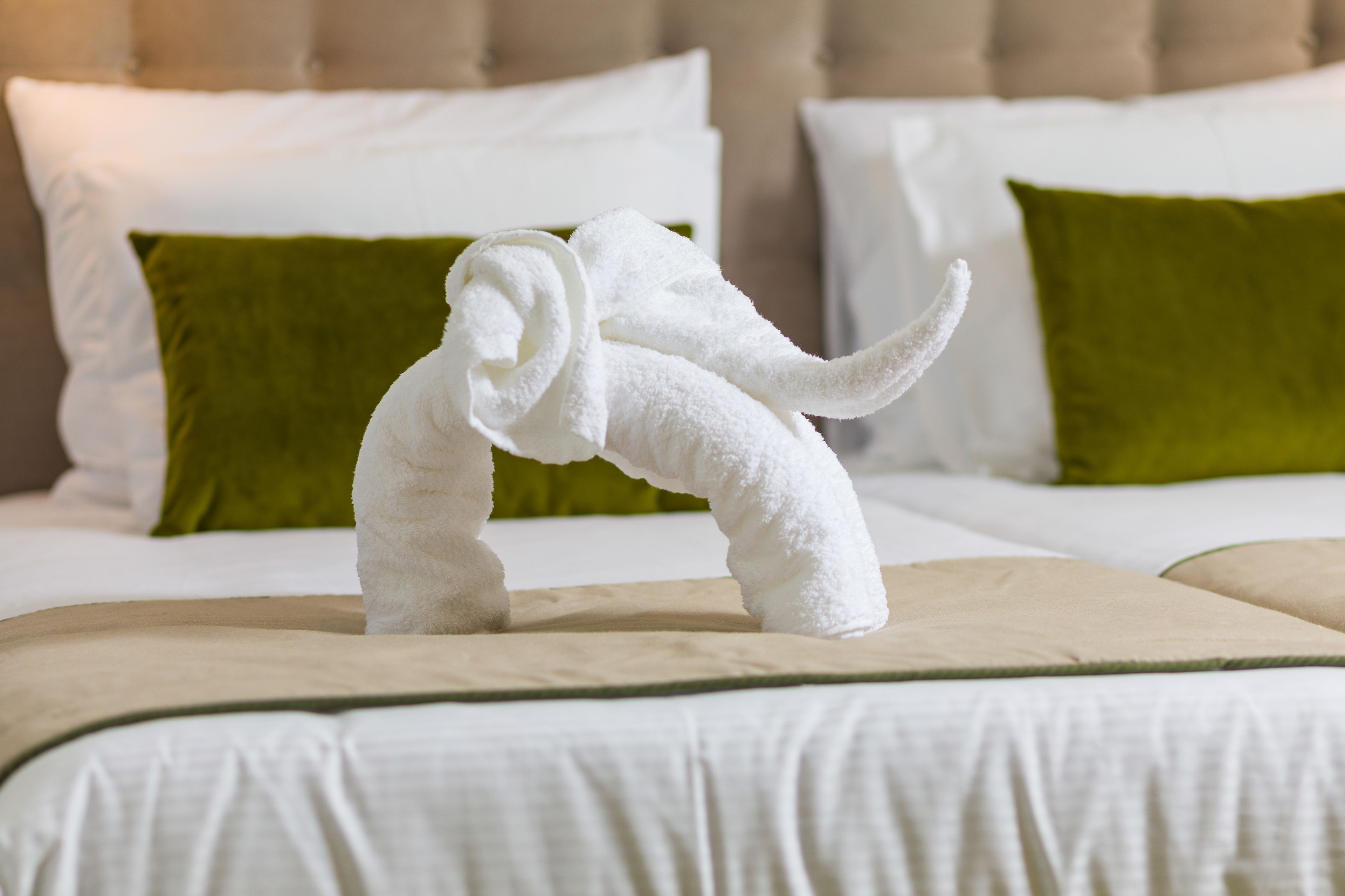 superior double room (02) | room amenity