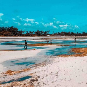 Point of interest - Kwale Golden Guest House (Kwale)
