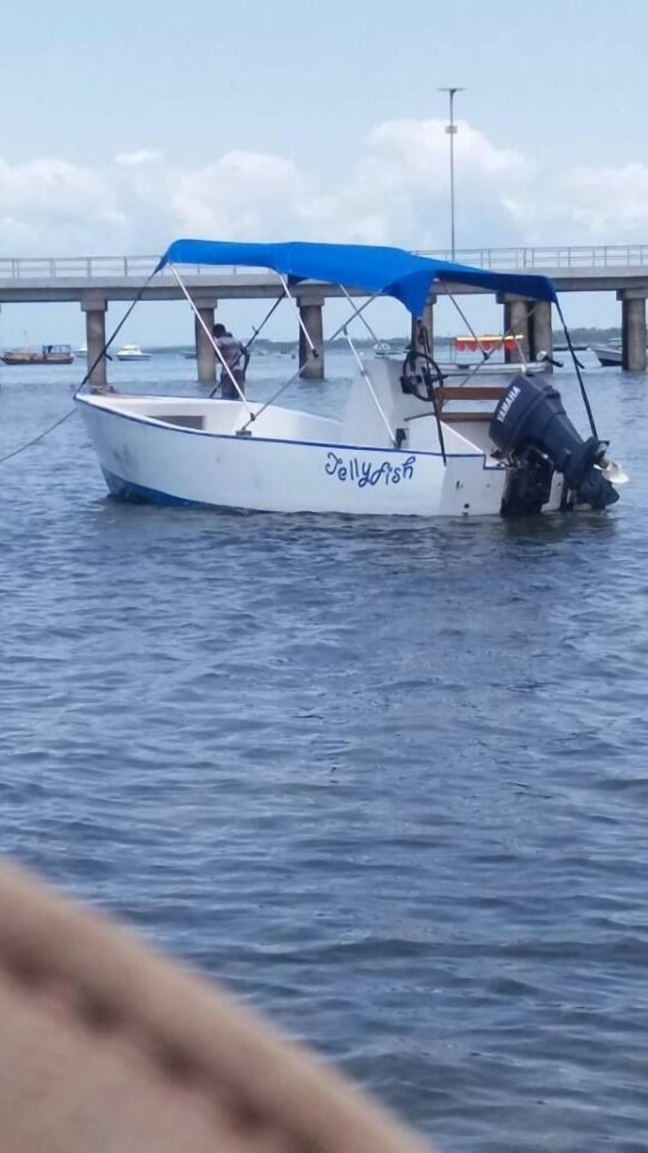 A boat named 'Jellyfish' anchored near a bridge.