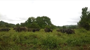 สถานที่น่าสนใจ