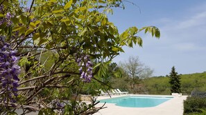 Jardim