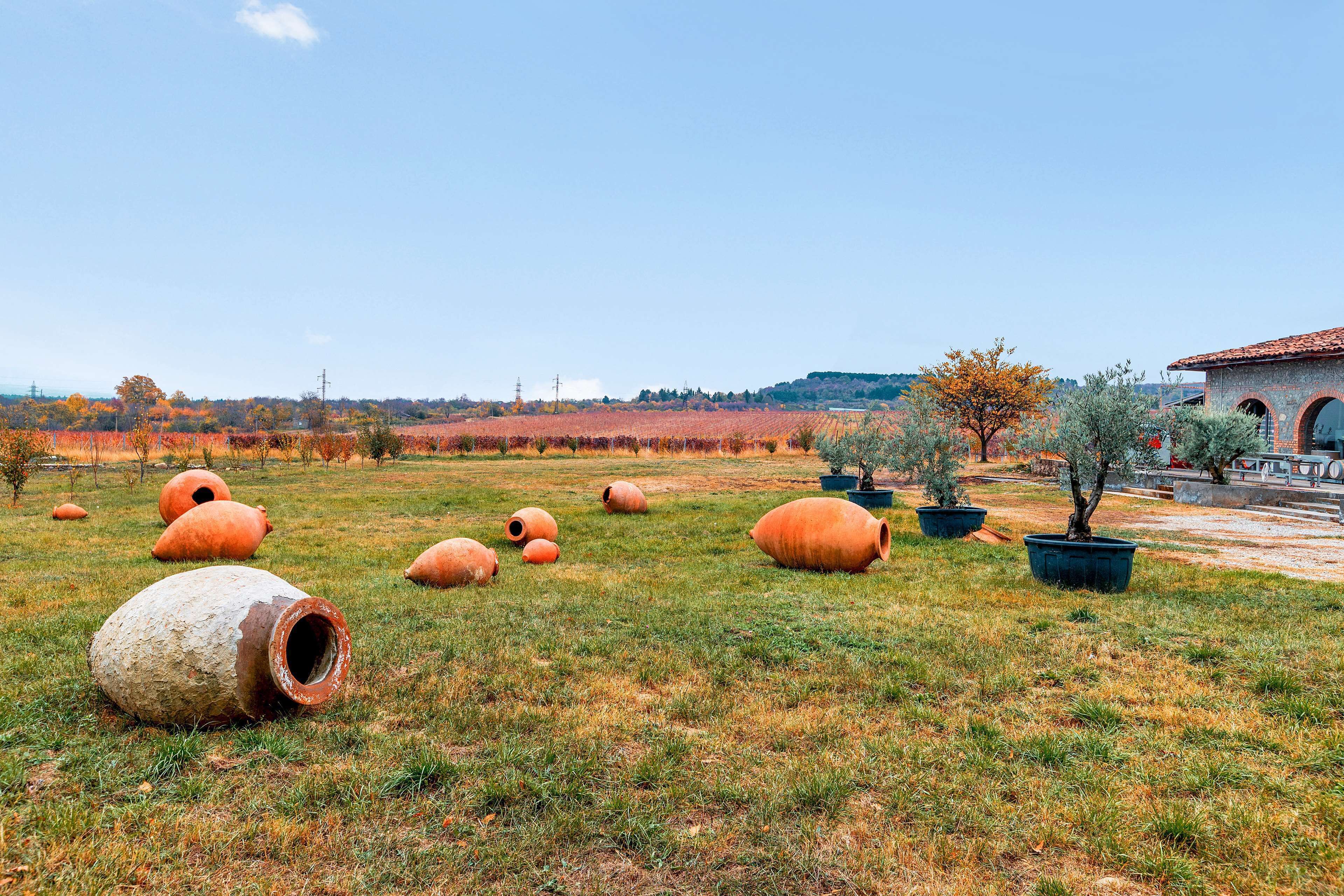A field with large terracotta pots and a building with arches.