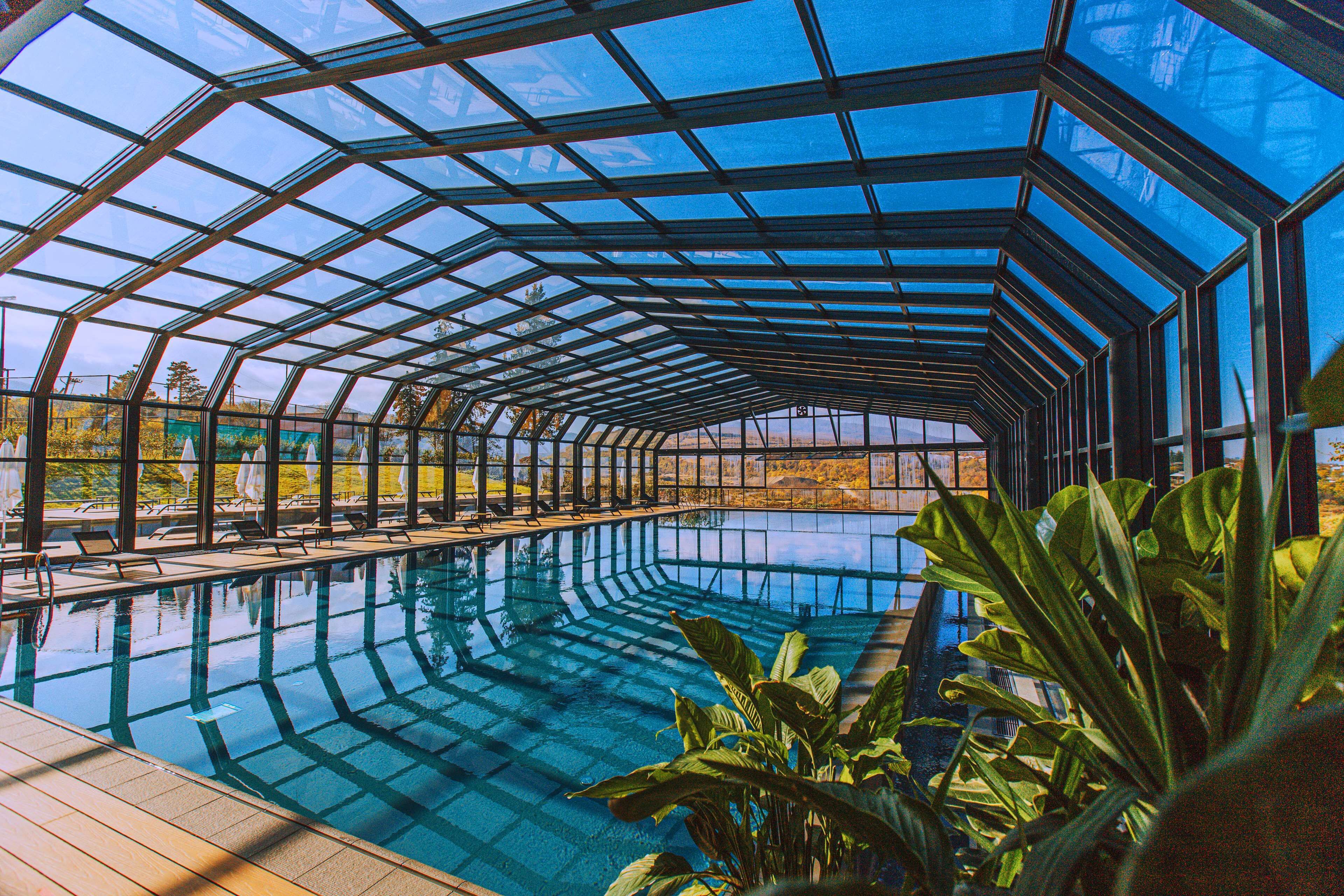 outdoor pool, pool loungers