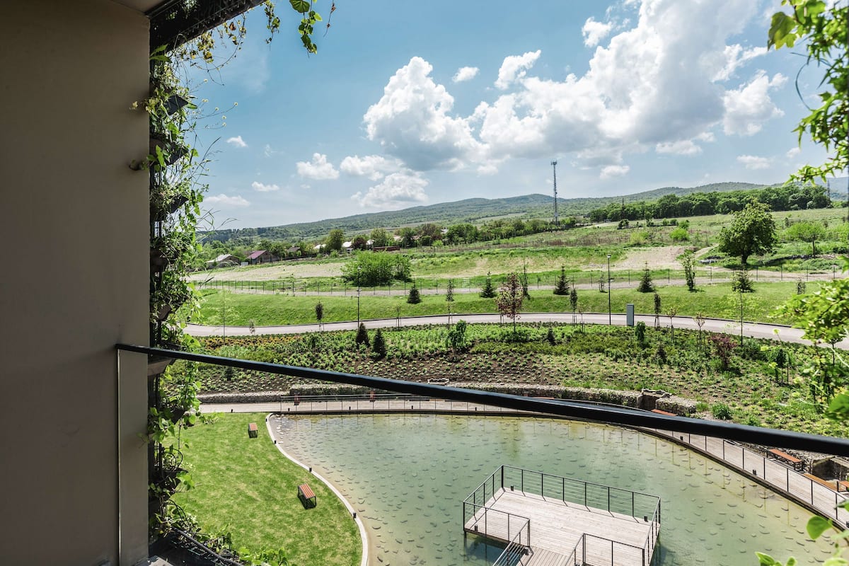 A view from a balcony overlooking a landscaped area with a pond, a wooden deck, and a distant hill.