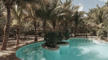 Outdoor pool, open 9:00 AM to 7:00 PM, pool umbrellas