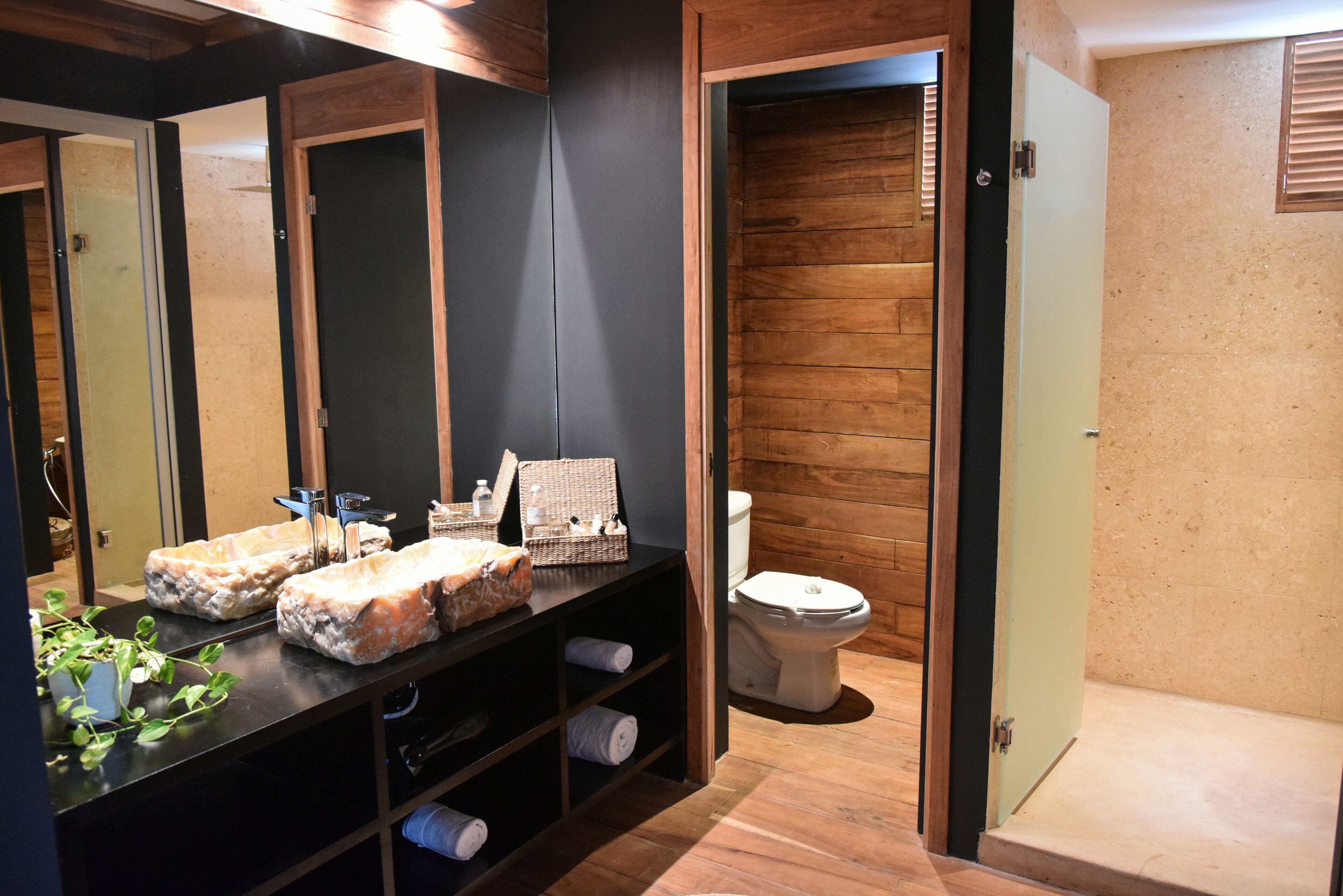 shower, free toiletries, hair dryer, towels