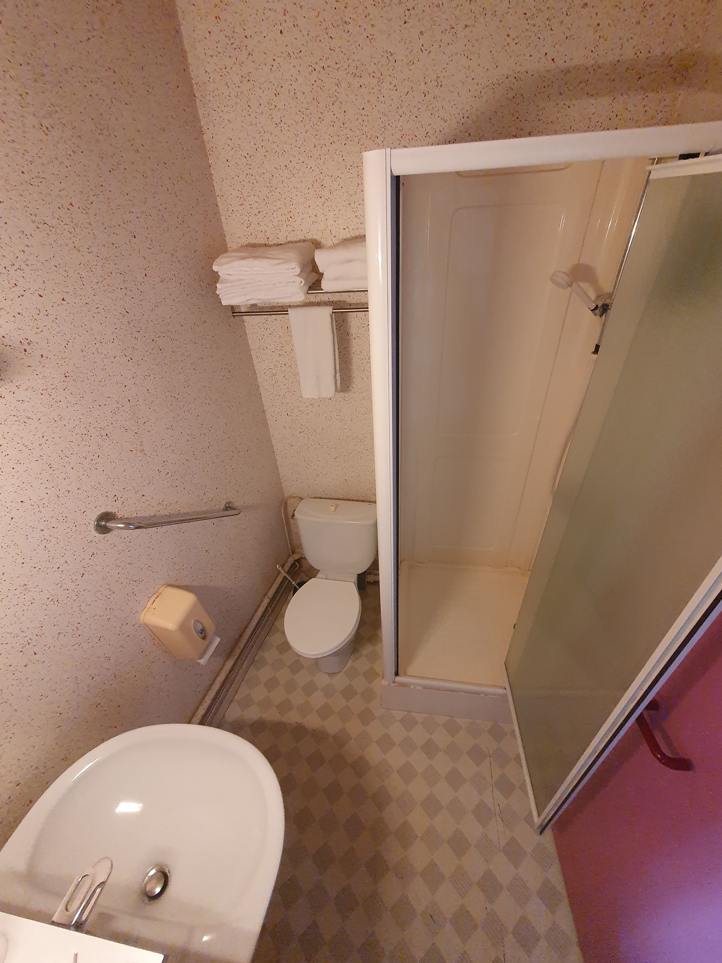 A bathroom with a toilet, a sink, and a shower area.