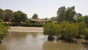 بحيرة