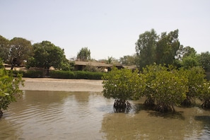 بحيرة