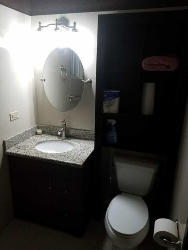 A bathroom with a granite countertop sink, a mirror, a toilet, and a shelf with toiletries.