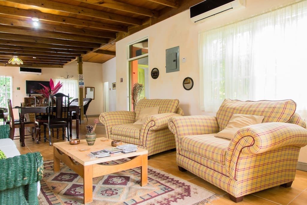 Villa, 1 King Bed, Non Smoking | Living area | Flat-screen TV