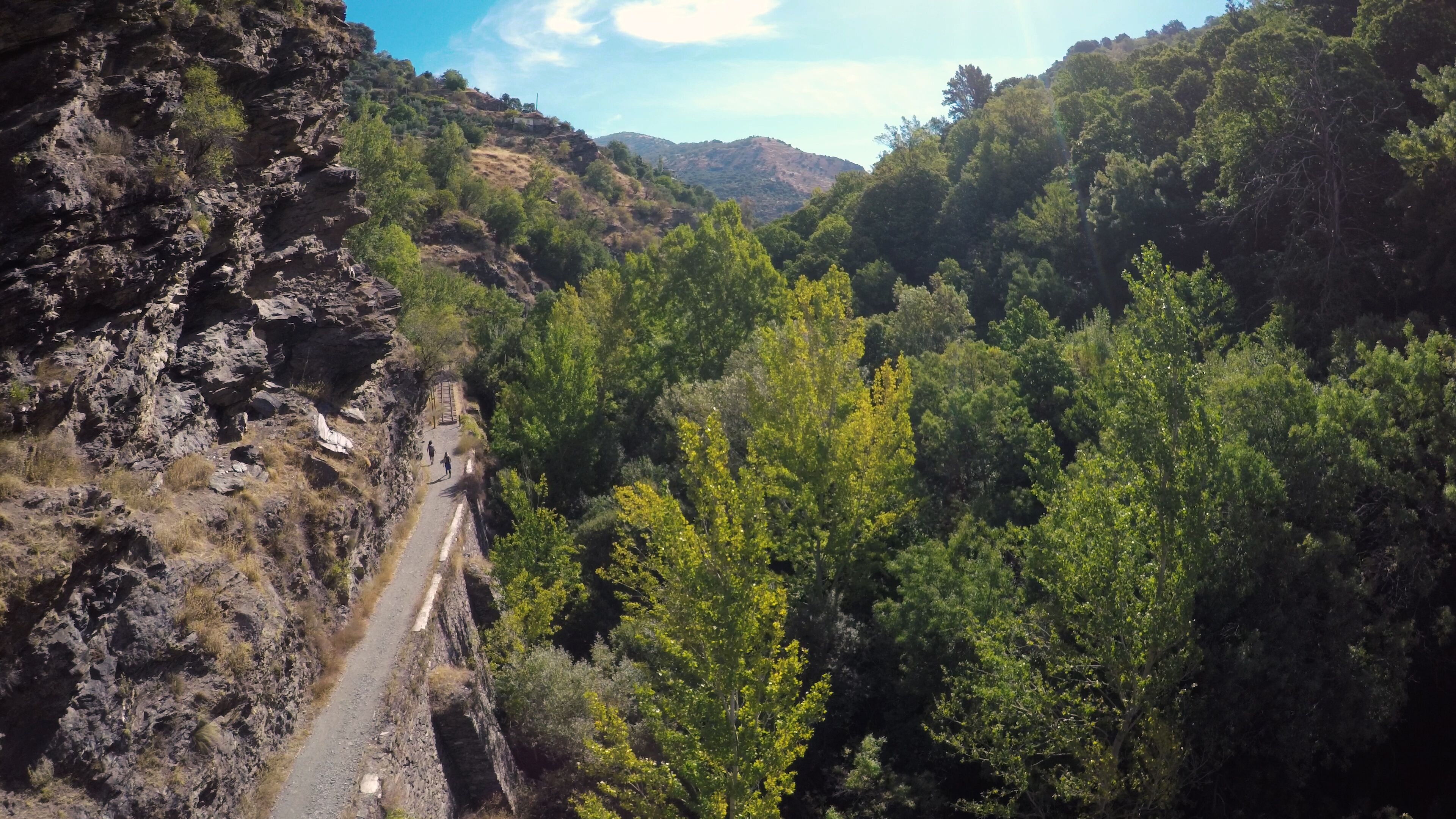 Un sendero montañoso y accidentado flanqueado por un bosque denso.