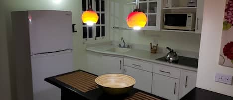 Cocina compacta equipada con refrigerador, microondas, pileta y dos lámparas colgantes.