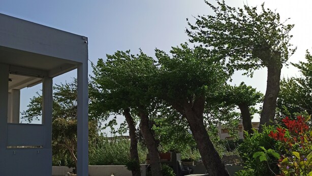 إطلالة من الشرفة