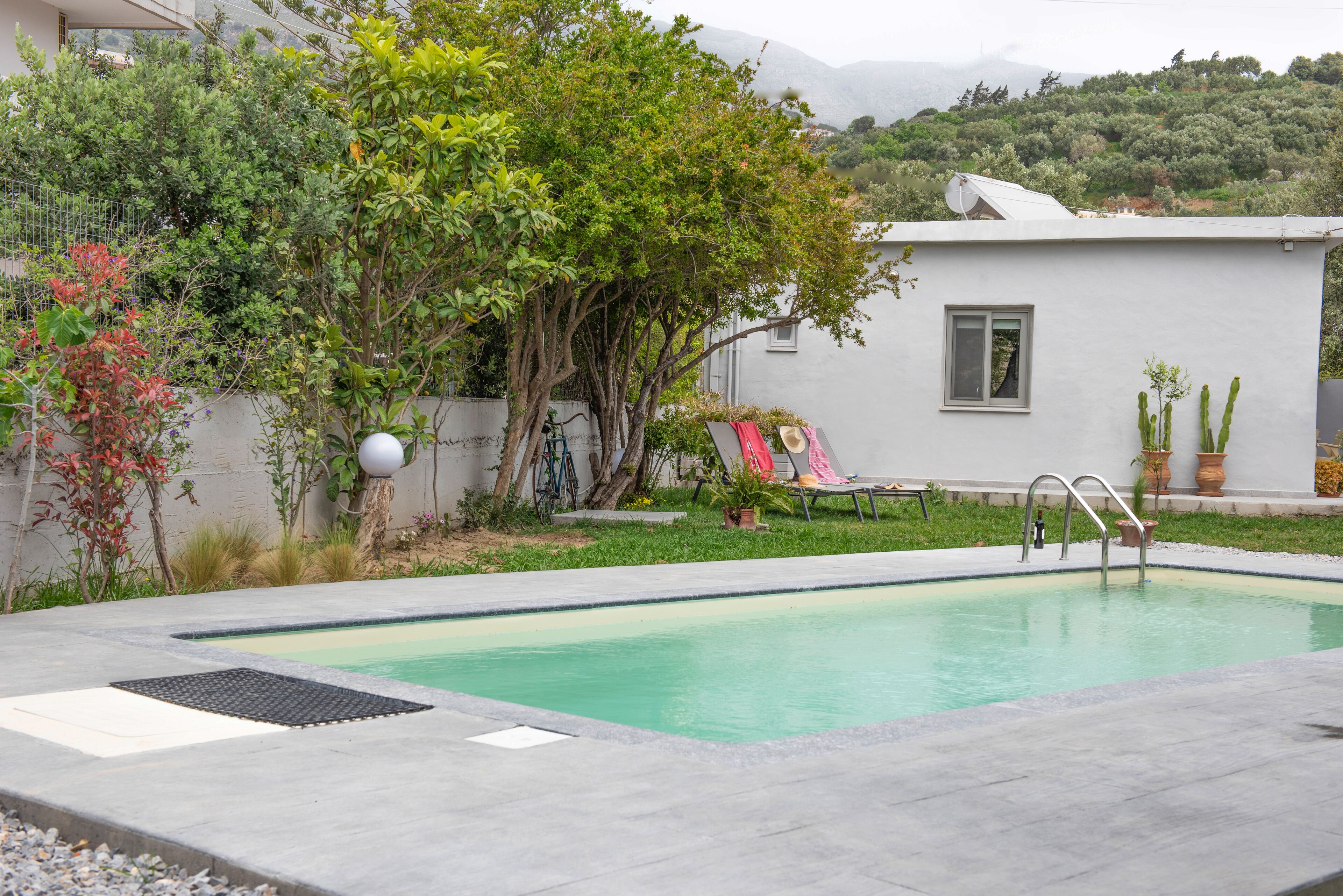 A swimming pool with a concrete deck, a small garden with various plants, and a white building with a window and a satellite dish.