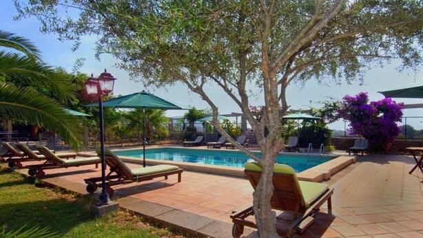 Zona junto a la piscina con sillas de descanso, sombrillas y un árbol.