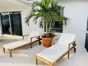 Relax in a serene outdoor seating area with two lounge chairs and a lush potted plant.