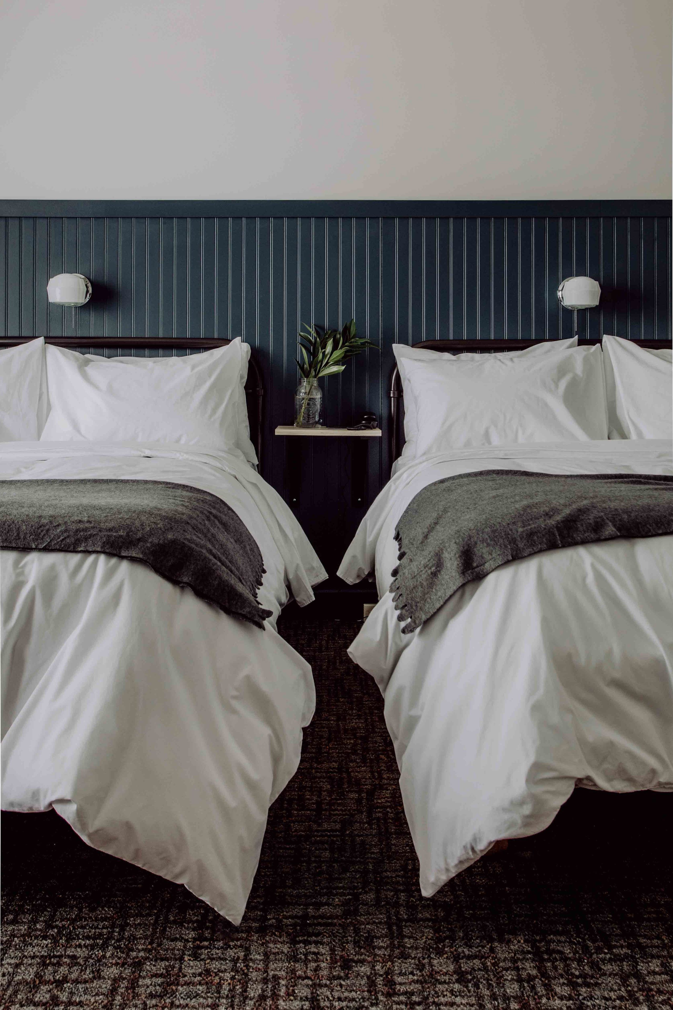 Una habitación con dos camas individuales, una mesita de noche con lámpara y una planta en maceta.