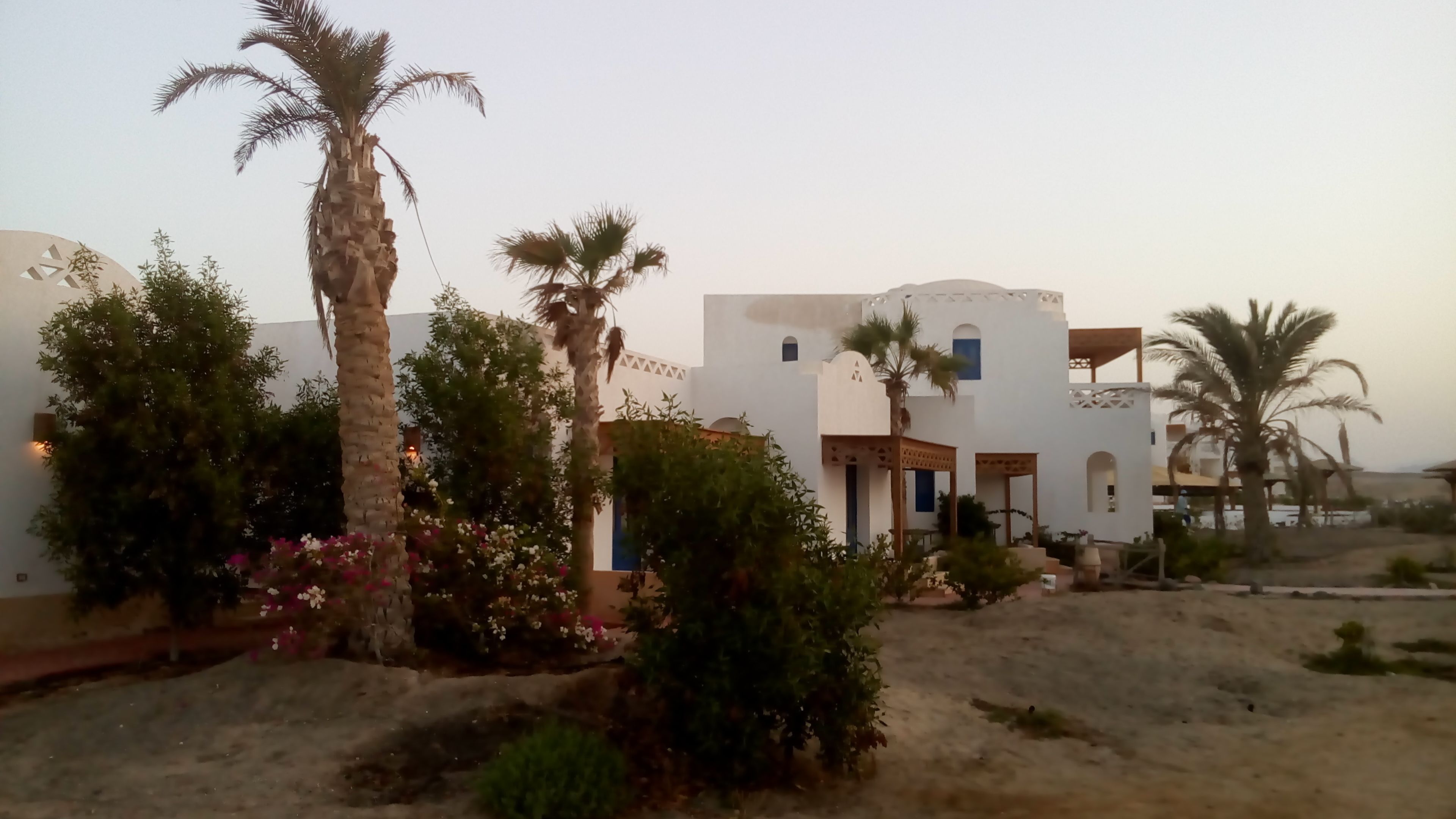 Foto - Beach safari nubian resort