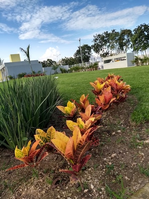 Áreas de la propiedad