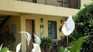 Vue sur le jardin