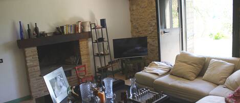 Ein Wohnzimmer mit Kamin, einer Couch, einem Fernseher und einem Couchtisch mit verschiedenen Gegenständen.