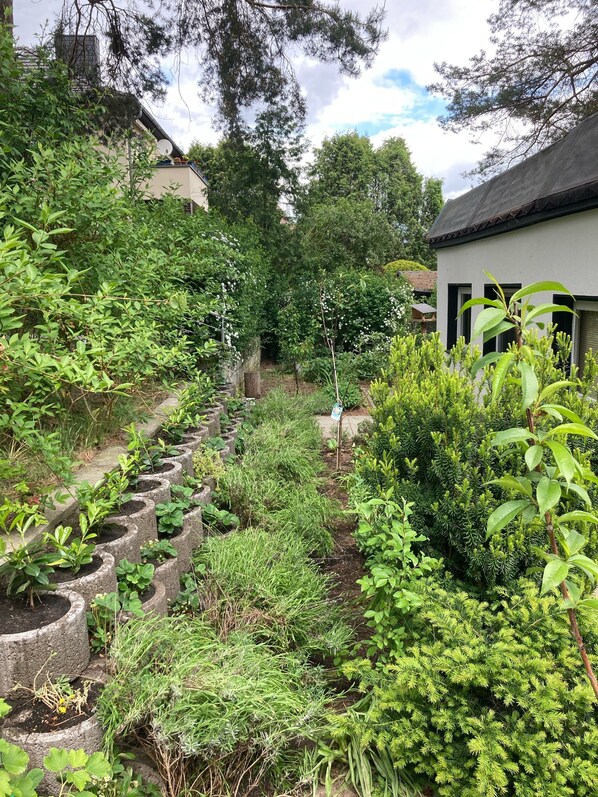 A garden with various plants and trees, a pathway, and a building with a dark roof.