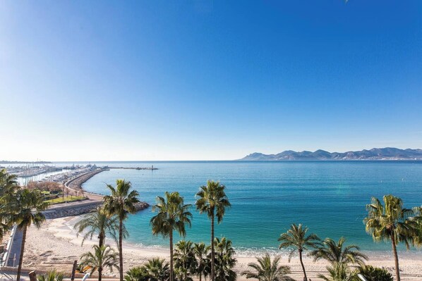 A coastal view with a beach, palm trees, and a marina.