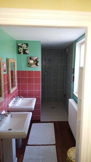 Shower, hair dryer, towels, toilet paper - Charming cottage in the country of Futuroscope (Persac)