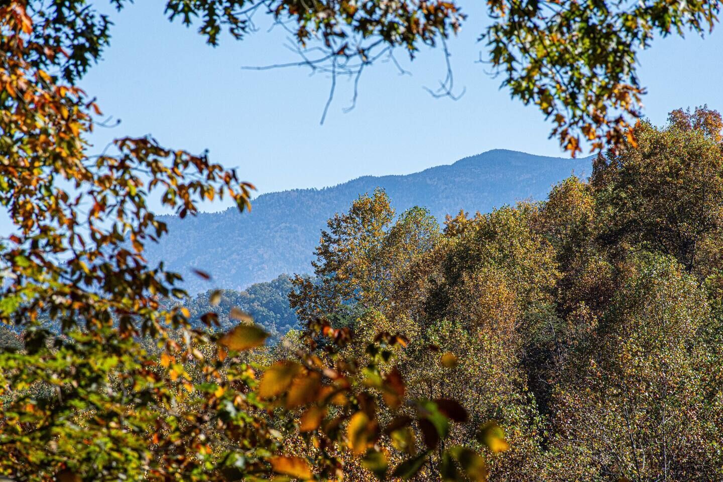 Paisagem montanhosa com floresta densa em primeiro plano.