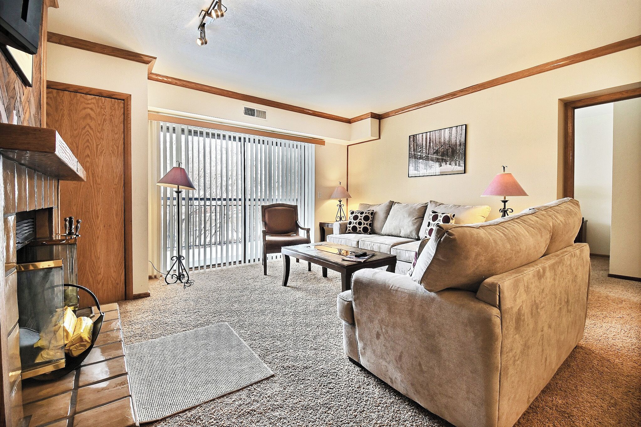 TV, fireplace, DVD player