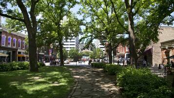 A stone pathway lined with trees and greenery, leading to a building with a brick facade and arched windows.