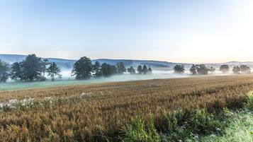 A rural landscape with a field, trees, and a misty horizon.